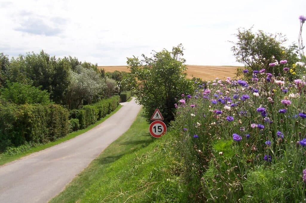 Campsite paths