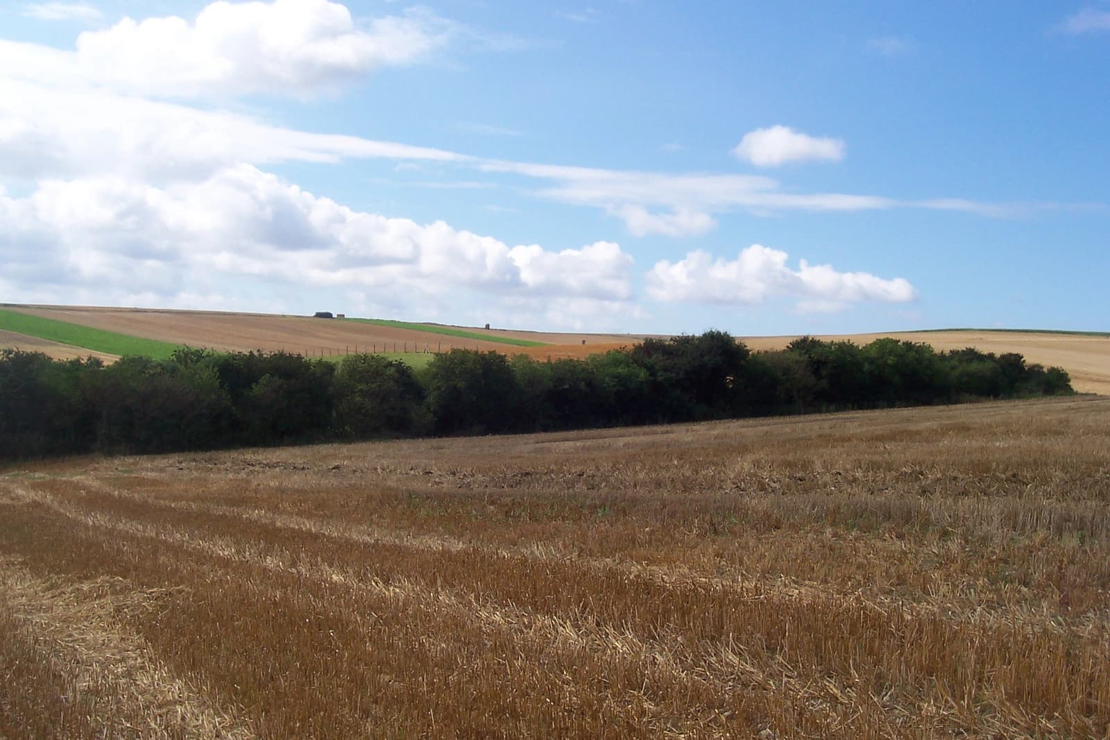 Natural spaces
