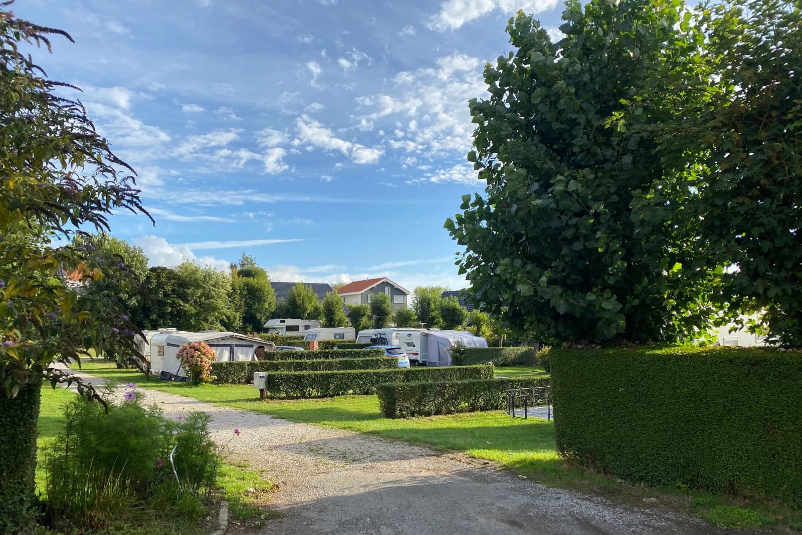 Allées du camping